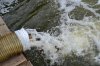 DSC_0111.JPG