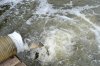 DSC_0113.JPG