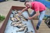 DSC_0155.JPG
