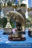 www.rusfishing.ru Рыбалка с Русфишинг Ловля карпа 4 тур ЛКЛ 2016 - 521.jpg