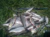 DSC01589.jpg