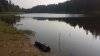 20160730_070229.jpg