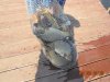 DSC07959.jpg