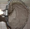 DSC06501.JPG