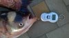 WP_20160808_19_06_45_Pro.jpg
