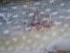 DSC07655.jpg