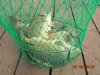 DSC08168.jpg