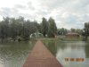 DSC08268.jpg