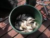 DSCN3482.jpg
