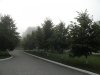 DSCN3551.jpg