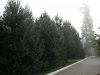DSCN3576.jpg