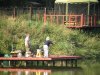 DSCN3640.jpg
