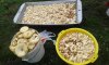 20160815_114721.jpg