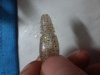 20160824_202156.jpg