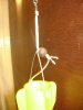 DSC05712К.jpg