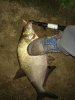 IMG_20160820_205620.jpg