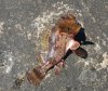 P_20160814_113936_small.jpg