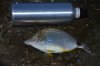 DSC_2576_small.JPG