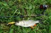 DSC04174_801x533.jpg