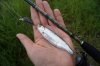 DSC04181_801x533.jpg