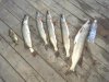 20130801_202826.jpg