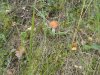DSC05161.JPG