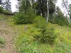 DSC05163.JPG
