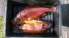WP_20160510_16_41_02_Pro.jpg