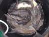 DSCN4953.JPG