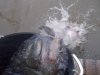 DSCN4933.JPG