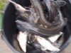 DSCN4980.JPG