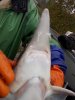 DSCN4988.JPG