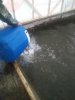 20160922_174545.jpg