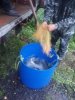 20160922_174933.jpg
