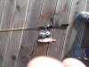 20160922_143105.jpg