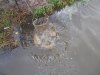 DSCN5019.JPG