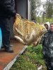 20160923_125754.jpg