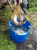 20160923_125741.jpg