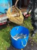 20160923_125729.jpg