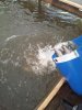 20160923_125857.jpg