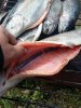 20160923_142904.jpg