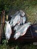 20160923_142857.jpg