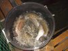 DSCN5029.JPG