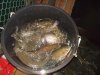DSCN5030.JPG