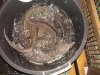 DSCN5042.JPG