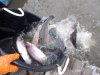 DSCN5073.JPG