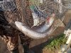 DSCN5106.JPG