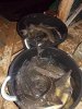 DSCN5109.JPG