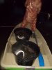 DSCN5114.JPG