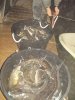 DSCN5121.JPG